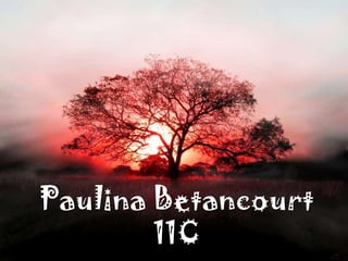 Paulina Betancourt
        11C
 