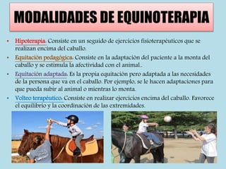MODALIDADES DE EQUINOTERAPIA
• Hipoterapia: Consiste en un seguido de ejercicios fisioterapéuticos que se
realizan encima del caballo.
• Equitación pedagógica: Consiste en la adaptación del paciente a la monta del
caballo y se estimula la afectividad con el animal..
• Equitación adaptada: Es la propia equitación pero adaptada a las necesidades
de la persona que va en el caballo. Por ejemplo, se le hacen adaptaciones para
que pueda subir al animal o mientras lo monta.
• Volteo terapéutico: Consiste en realizar ejercicios encima del caballo. Favorece
el equilibrio y la coordinación de las extremidades.
 