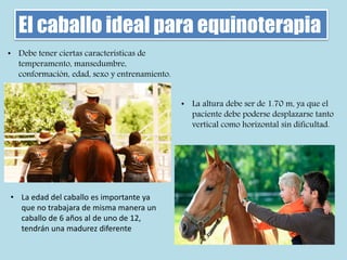 El caballo ideal para equinoterapia
• Debe tener ciertas características de
temperamento, mansedumbre,
conformación, edad, sexo y entrenamiento.
• La altura debe ser de 1.70 m, ya que el
paciente debe poderse desplazarse tanto
vertical como horizontal sin dificultad.
• La edad del caballo es importante ya
que no trabajara de misma manera un
caballo de 6 años al de uno de 12,
tendrán una madurez diferente
 