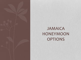 JAMAICA
HONEYMOON
OPTIONS
 