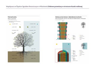 Współpraca ze Śląskim Ogródem Botanicznym w Mikołowie | Dobowe przemiany w struturze tkanki roślinnej
 