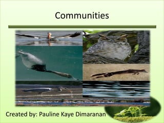 Communities




Created by: Pauline Kaye Dimaranan
 