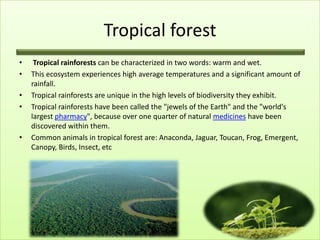 Tropical forest
•    Tropical rainforests can be characterized in two words: warm and wet.
•   This ecosystem experiences high average temperatures and a significant amount of
    rainfall.
•   Tropical rainforests are unique in the high levels of biodiversity they exhibit.
•   Tropical rainforests have been called the "jewels of the Earth" and the "world's
    largest pharmacy", because over one quarter of natural medicines have been
    discovered within them.
•   Common animals in tropical forest are: Anaconda, Jaguar, Toucan, Frog, Emergent,
    Canopy, Birds, Insect, etc
 