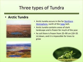 Three types of Tundra
• Arctic Tundra
                  • Arctic tundra occurs in the far Northern
                    Hemisphere, north of the taiga belt.
                  • Arctic tundra contains areas of stark
                    landscape and is frozen for much of the year.
                  • he soil there is frozen from 25–90 cm (10–35
                    in) down, and it is impossible for trees to
                    grow
 