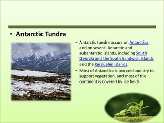 • Antarctic Tundra
                     • Antarctic tundra occurs on Antarctica
                       and on several Antarctic and
                       subantarctic islands, including South
                       Georgia and the South Sandwich Islands
                       and the Kerguelen Islands.
                     • Most of Antarctica is too cold and dry to
                       support vegetation, and most of the
                       continent is covered by ice fields.
 