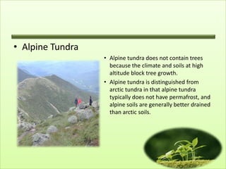 • Alpine Tundra
                  • Alpine tundra does not contain trees
                    because the climate and soils at high
                    altitude block tree growth.
                  • Alpine tundra is distinguished from
                    arctic tundra in that alpine tundra
                    typically does not have permafrost, and
                    alpine soils are generally better drained
                    than arctic soils.
 