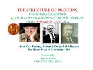 THE STRUCTURE OF PROTEINS
TWO HYDROGEN-BONDED
HELICAL CONFIGURATIONS OF THE POL YPEPTIDE
CHAIN (February 28 1951) JACS
Linus Carl Pauling, Robert B.Corey & H.R.Brason
The Nobel Prize in Chemistry 1954
Presented by
Yogesh Kumar
CSIR-CIMAP-JNU (Ph.D)
 