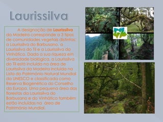 Laurissilva         A designação de Laurissilva da Madeira corresponde a 3 tipos de comunidades vegetais distintas: a Laurissilva do Barbusano, a Laurissilva do Til e a Laurissilva do Vinhático. Dada a sua riqueza em diversidade biológica, a Laurissilva do Til está incluída na área de Laurissilva da Madeira incluída na Lista do Património Natural Mundial da UNESCO e classificada como Reserva Biogenética do Conselho da Europa. Uma pequena área das florestas da Laurissilva do Barbusano e do Vinhático também estão incluídas na  área de Património Mundial.