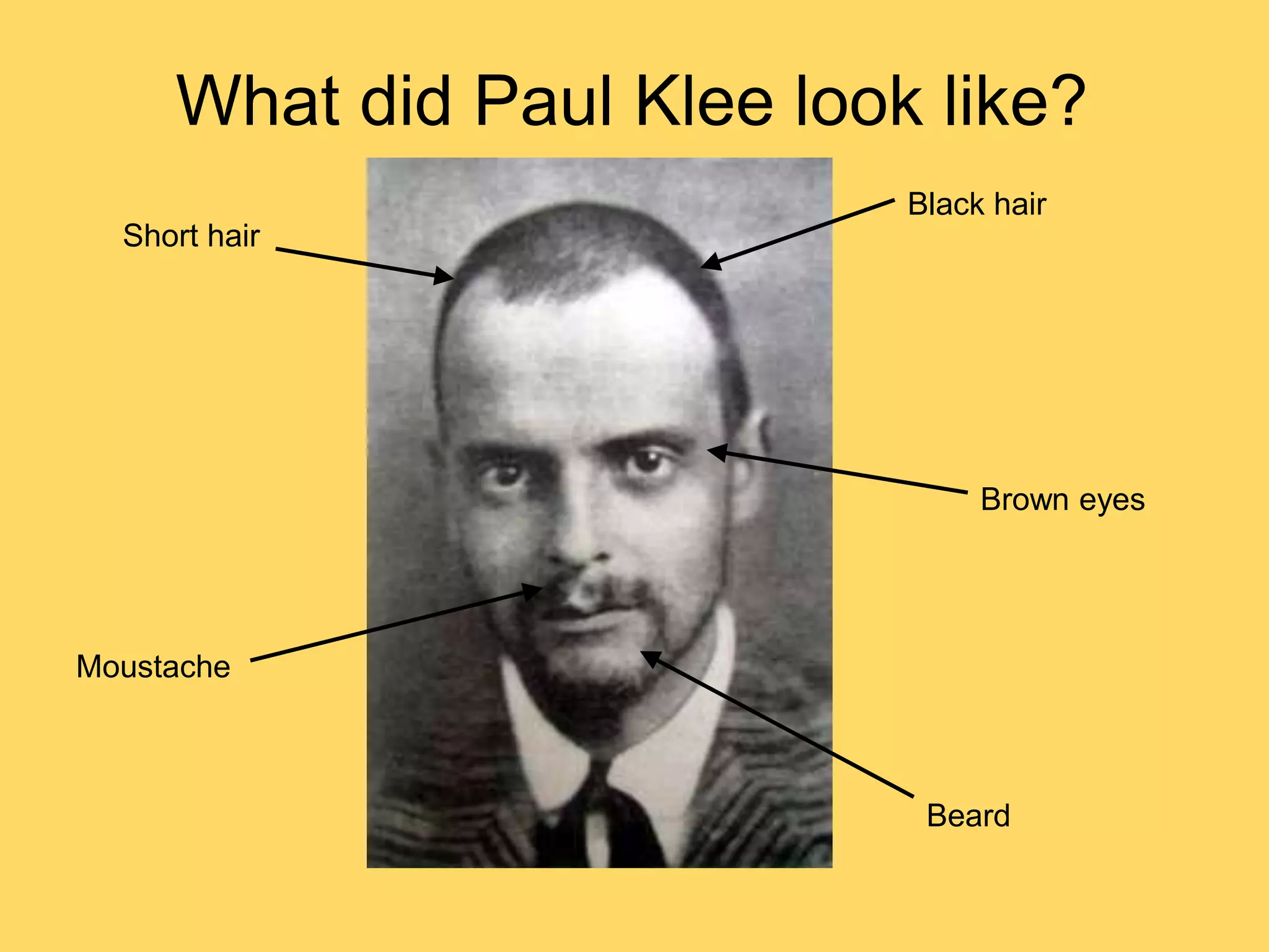 Short hair
Black hair
Brown eyes
Moustache
Beard
What did Paul Klee look like?
 