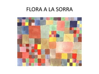 FLORA A LA SORRA
 