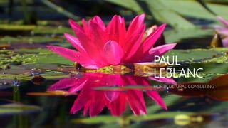 PAUL
LEBLANC
HORTICULTURAL CONSULTING
 