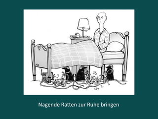 Nagende Ratten zur Ruhe bringen
 