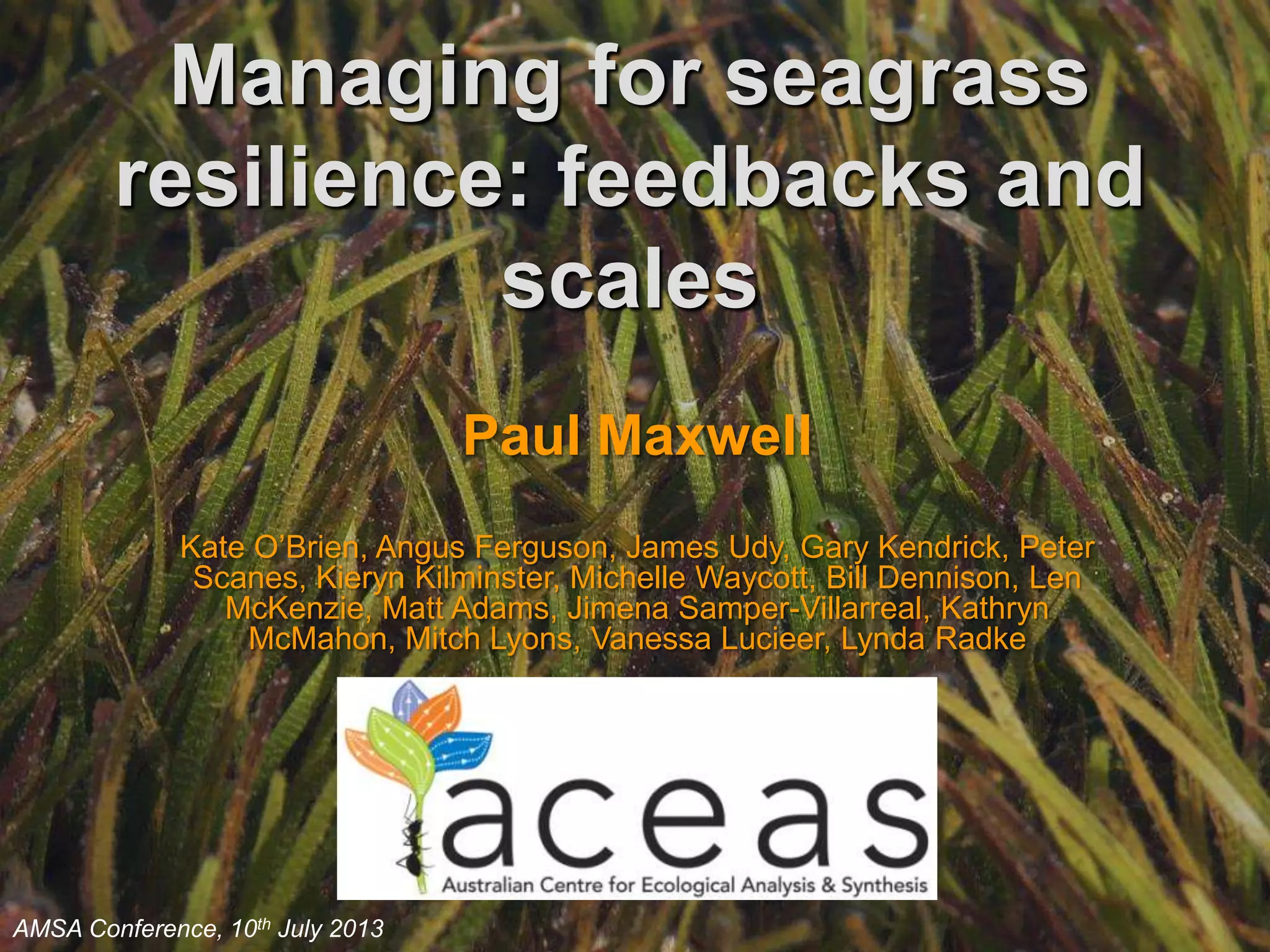 Paul Maxwell, AMSA 2013. Managing Seagrass Resilience feedbacks and