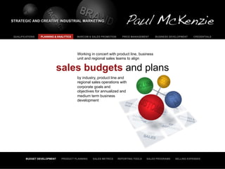 QUALIFICATIONS   PLANNING & ANALYTICS   MARCOM & SALES PROMOTION     PRICE MANAGEMENT     BUSINESS DEVELOPMENT   CREDENTIALS




                                        Working in concert with product line, business
                                        unit and regional sales teams to align

                             sales budgets and plans
                                        by industry, product line and
                                        regional sales operations with
                                        corporate goals and
                                        objectives for annualized and
                                        medium term business
                                        development




        BUDGET DEVELOPMENT    PRODUCT PLANNING   SALES METRICS     REPORTING TOOLS   SALES PROGRAMS   SELLING EXPENSES
 