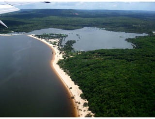 Apresentação FDC Experience - Prof. Paulo Paiva