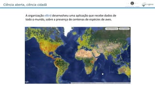 Ciência aberta, ciência cidadã
A organização eBird desenvolveu uma aplicação que recebe dados de
todo o mundo, sobre a presença de centenas de espécies de aves.
 