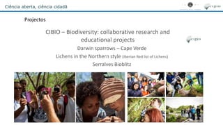 Ciência aberta, ciência cidadã
CIBIO – Biodiversity: collaborative research and
educational projects
Darwin sparrows – Cape Verde
Lichens in the Northern style (Iberian Red list of Lichens)
Serralves Bioblitz
Projectos
 