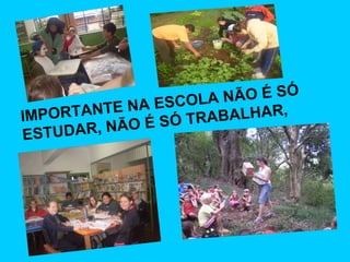 IMPORTANTE NA ESCOLA NÃO É SÓ  ESTUDAR, NÃO É SÓ TRABALHAR,   