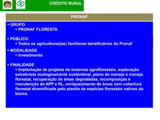 CRÉDITO RURAL


                                   PRONAF
 GRUPO
     PRONAF FLORESTA

 PÚBLICO
     Todos os agricultores(as) familiares beneficiários do Pronaf
 MODALIDADE
     Investimento

 FINALIDADE
      Implantação de projetos de sistemas agroflorestais, exploração
     extrativista ecologicamente sustentável, plano de manejo e manejo
     florestal, recuperação de áreas degradadas, recomposição e
     manutenção de APP e RL, enriquecimento de áreas com cobertura
     florestal diversificada pelo plantio de espécies florestais nativas do
     bioma.
 