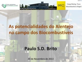 As potencialidades do Alentejo
no campo dos Biocombustíveis
Paulo S.D. Brito
20 de Novembro de 2013

 