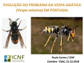 Paulo Carmo / ICNF
Coimbra - ESAC, 21.12.2018
 