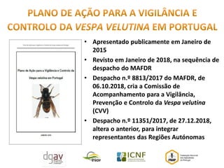 • Apresentado publicamente em Janeiro de
2015
• Revisto em Janeiro de 2018, na sequência de
despacho do MAFDR
• Despacho n.º 8813/2017 do MAFDR, de
06.10.2018, cria a Comissão de
Acompanhamento para a Vigilância,
Prevenção e Controlo da Vespa velutina
(CVV)
• Despacho n.º 11351/2017, de 27.12.2018,
altera o anterior, para integrar
representantes das Regiões Autónomas
 