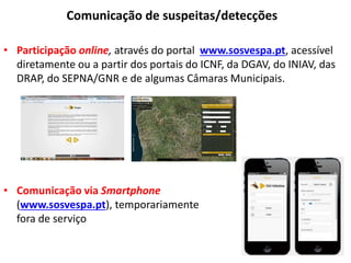 Comunicação de suspeitas/detecções
• Participação online, através do portal www.sosvespa.pt, acessível
diretamente ou a partir dos portais do ICNF, da DGAV, do INIAV, das
DRAP, do SEPNA/GNR e de algumas Câmaras Municipais.
• Comunicação via Smartphone
(www.sosvespa.pt), temporariamente
fora de serviço
 