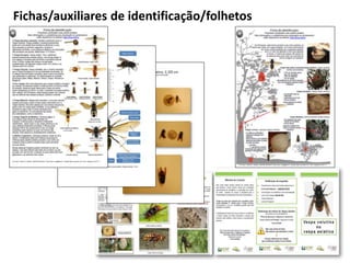Fichas/auxiliares de identificação/folhetos
 