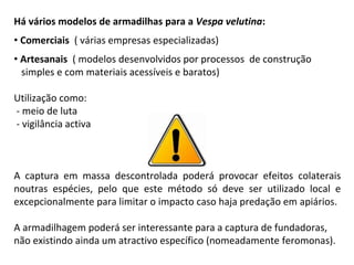Há vários modelos de armadilhas para a Vespa velutina:
• Comerciais ( várias empresas especializadas)
• Artesanais ( modelos desenvolvidos por processos de construção
simples e com materiais acessíveis e baratos)
Utilização como:
- meio de luta
- vigilância activa
A captura em massa descontrolada poderá provocar efeitos colaterais
noutras espécies, pelo que este método só deve ser utilizado local e
excepcionalmente para limitar o impacto caso haja predação em apiários.
A armadilhagem poderá ser interessante para a captura de fundadoras,
não existindo ainda um atractivo específico (nomeadamente feromonas).
 
