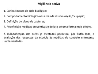 Vigilância activa
1. Conhecimento do ciclo biológico;
2. Comportamento biológico nas áreas de disseminação/ocupação;
3. Definição do plano de capturas;
4. Redefinição medidas preventivas e de luta de uma forma mais efetiva.
A monitorização das áreas já afectadas permitirá, por outro lado, a
avaliação das respostas da espécie às medidas de controlo entretanto
implementadas
 