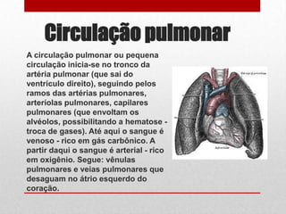 Circulação pulmonar
A circulação pulmonar ou pequena
circulação inicia-se no tronco da
artéria pulmonar (que sai do
ventrículo direito), seguindo pelos
ramos das artérias pulmonares,
arteríolas pulmonares, capilares
pulmonares (que envoltam os
alvéolos, possibilitando a hematose -
troca de gases). Até aqui o sangue é
venoso - rico em gás carbônico. A
partir daqui o sangue é arterial - rico
em oxigênio. Segue: vênulas
pulmonares e veias pulmonares que
desaguam no átrio esquerdo do
coração.
 