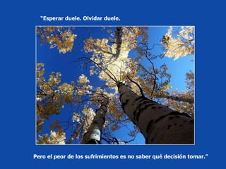 Pero el peor de los sufrimientos es no saber qué decisión tomar.”  “ Esperar duele. Olvidar duele.  