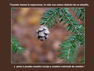 y  pone a prueba nuestro coraje y nuestra voluntad de cambio.” “ Cuando menos lo esperamos, la vida nos coloca delante de un desafío,  