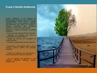 O que é Gestão Ambiental



Gestão ambiental é um sistema de
administração empresarial que dá ênfase na
sustentabilidade. Desta forma, a gestão
ambiental visa o uso de práticas e métodos
administrativos que reduzir ao máximo o
impacto       ambiental      das    atividades
econômicas nos recursos da natureza.
Métodos e objetivos principais da gestão
ambiental:
- Uso de recursos naturais de forma racional.
- Aplicação de métodos que visem a
manutenção da biodiversidade.
- Adoção de sistemas de reciclagem de
resíduos sólidos.
- Utilização sustentável de recursos naturais.

- Tratamento e reutilização da água e outros
recursos naturais dentro do processo
produtivo.

- Criação de produtos que provoquem o
mínimo possível de impacto ambiental.

- Uso de sistemas que garantam a não
poluição ambiental. Exemplo: sistema
carbono zero.
 