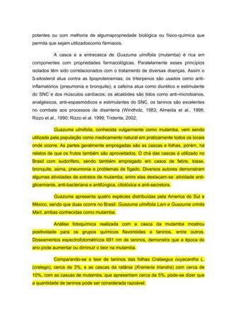 potentes ou com melhoria de algumapropriedade biológica ou físico-química que
permita que sejam utilizadoscomo fármacos.
A casca e a entrecasca de Guazuma ulmifolia (mutamba) é rica em
componentes com propriedades farmacológicas. Paralelamente esses princípios
isolados têm sido correlacionados com o tratamento de diversas doenças. Assim o
ß-sitosterol atua contra as lipoproteinemias; os triterpenos são usados como antiinflamatórios (pneumonia e bronquite); a cafeína atua como diurético e estimulante
do SNC e dos músculos cardíacos; os alcalóides são tidos como anti-microbianos,
analgésicos, anti-espasmódicos e estimulantes do SNC, os taninos são excelentes
no combate aos processos de disenteria (Windholz, 1983; Almeida et al., 1998;
Rizzo et al., 1990; Rizzo et al. 1999; Tridente, 2002;
Guazuma ulmifolia, conhecida vulgarmente como mutamba, vem sendo
utilizada pela população como medicamento natural em praticamente todos os locais
onde ocorre. As partes geralmente empregadas são as cascas e folhas, porém, há
relatos de que os frutos também são aproveitados. O chá das cascas é utilizado no
Brasil com sudorífero, sendo também empregado em casos de febre, tosse,
bronquite, asma, pneumonia e problemas de fígado. Diversos autores demonstram
algumas atividades de extratos de mutamba, entre elas destacam-se: atividade antiglicemiante, anti-bacteriana e antifúngica, citotóxica e anti-secretora.
Guazuma apresenta quatro espécies distribuídas pela America do Sul e
México, sendo que duas ocorre no Brasil: Guazuma ulmifolia Lam e Guazuma crinita
Mart, ambas conhecidas como mutamba.
Análise fotoquímica realizada com a casca da mutamba mostrou
positividade para os grupos químicos flavonóides e taninos, entre outros.
Doseamentos espectrofotométricos 691 nm de taninos, demonstra que a época do
ano pode aumentar ou diminuir o teor na mutamba.
Comparando-se o teor de taninos das folhas Crataegus oxyacantha L.
(cratego), cerca de 3%, e as cascas da ratânia (Krameria triandra) com cerca de
10%, com as cascas de mutamba, que apresentam cerca de 5%, pode-se dizer que
a quantidade de taninos pode ser considerada razoável.

 