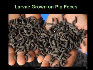 Making Waste our Greatest Resource   117
 