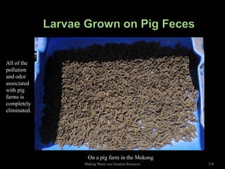 All of the
pollution
and odor
associated
with pig
farms is
completely
eliminated.




                On a pig farm in the Mekong
              Making Waste our Greatest Resource   118
 