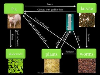 Feces

 Pig                       Cooked with gasifier heat                      larvae
         Fresh or Cooked




                                                                             Residue
 Urine




                                                                Residue
duckweed                             plants                               worms


                           Making Waste our Greatest Resource                          119
 
