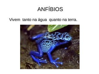 ANFÍBIOS
Vivem tanto na água quanto na terra.
 