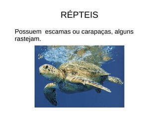 RÉPTEIS
Possuem escamas ou carapaças, alguns
rastejam.
 