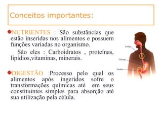 Conceitos importantes:
NUTRIENTES : São substâncias que
estão inseridas nos alimentos e possuem
funções variadas no organismo.
São eles : Carboidratos , proteínas,
lipídios,vitaminas, minerais.
DIGESTÃO :Processo pelo qual os
alimentos após ingeridos sofre o
transformações químicas até em seus
constituintes simples para absorção até
sua utilização pela célula.
 