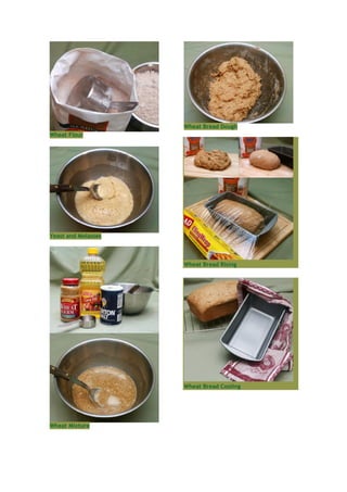 Wheat Bread Dough
Wheat Flour




Yeast and Molasses



                     Wheat Bread Rising




                     Wheat Bread Cooling




Wheat Mixture
 