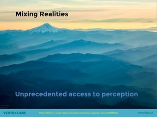 Mixing Realities
Mount Jefferson • Image: https://www.flickr.com/photos/nagarajan-kanna/15337821354
Unprecedented access to perception
 