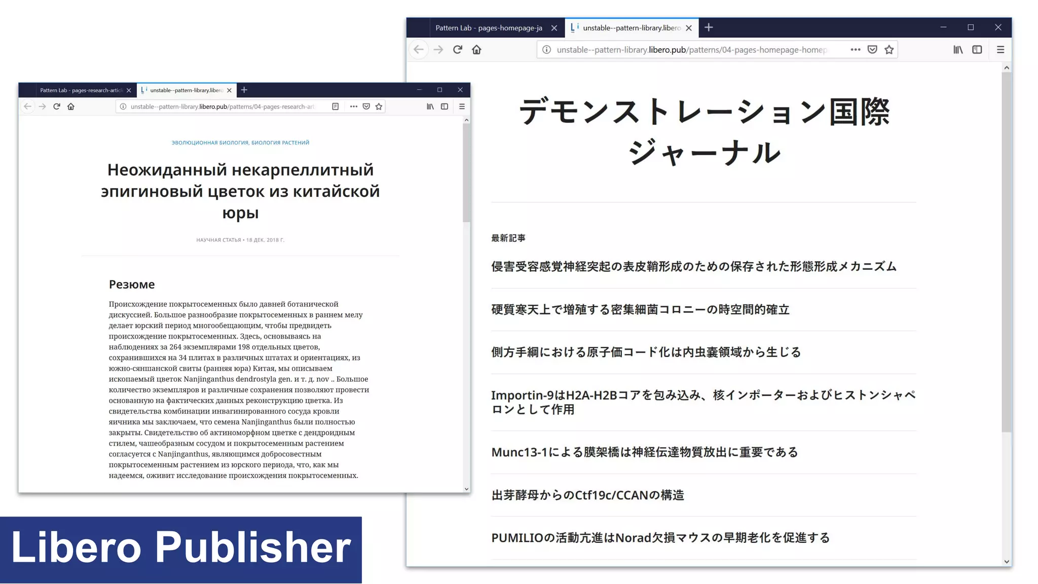Libero Publisher
 