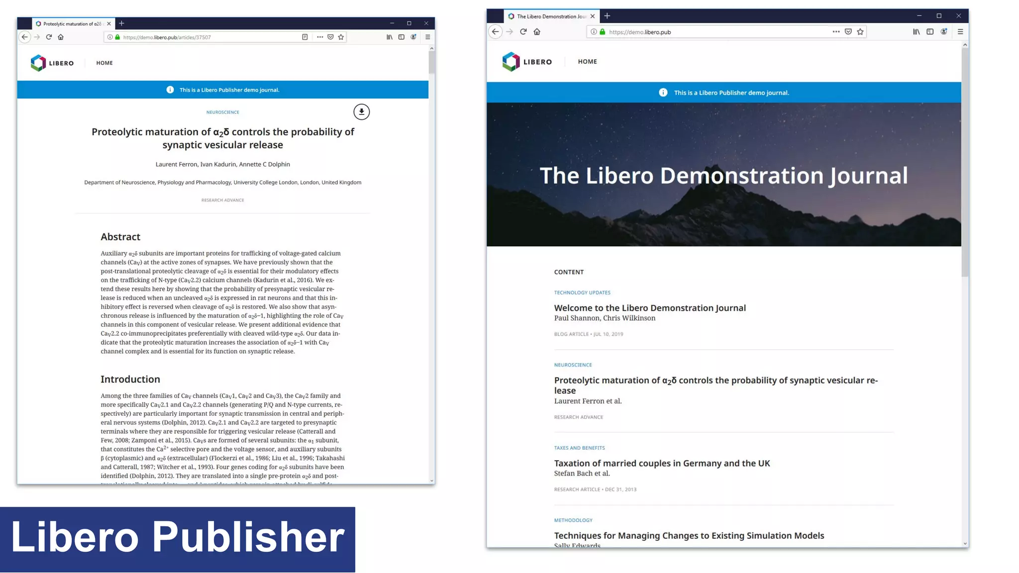 Libero Publisher
 