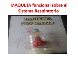 MAQUETA funcional sobre el
Sistema Respiratorio
 