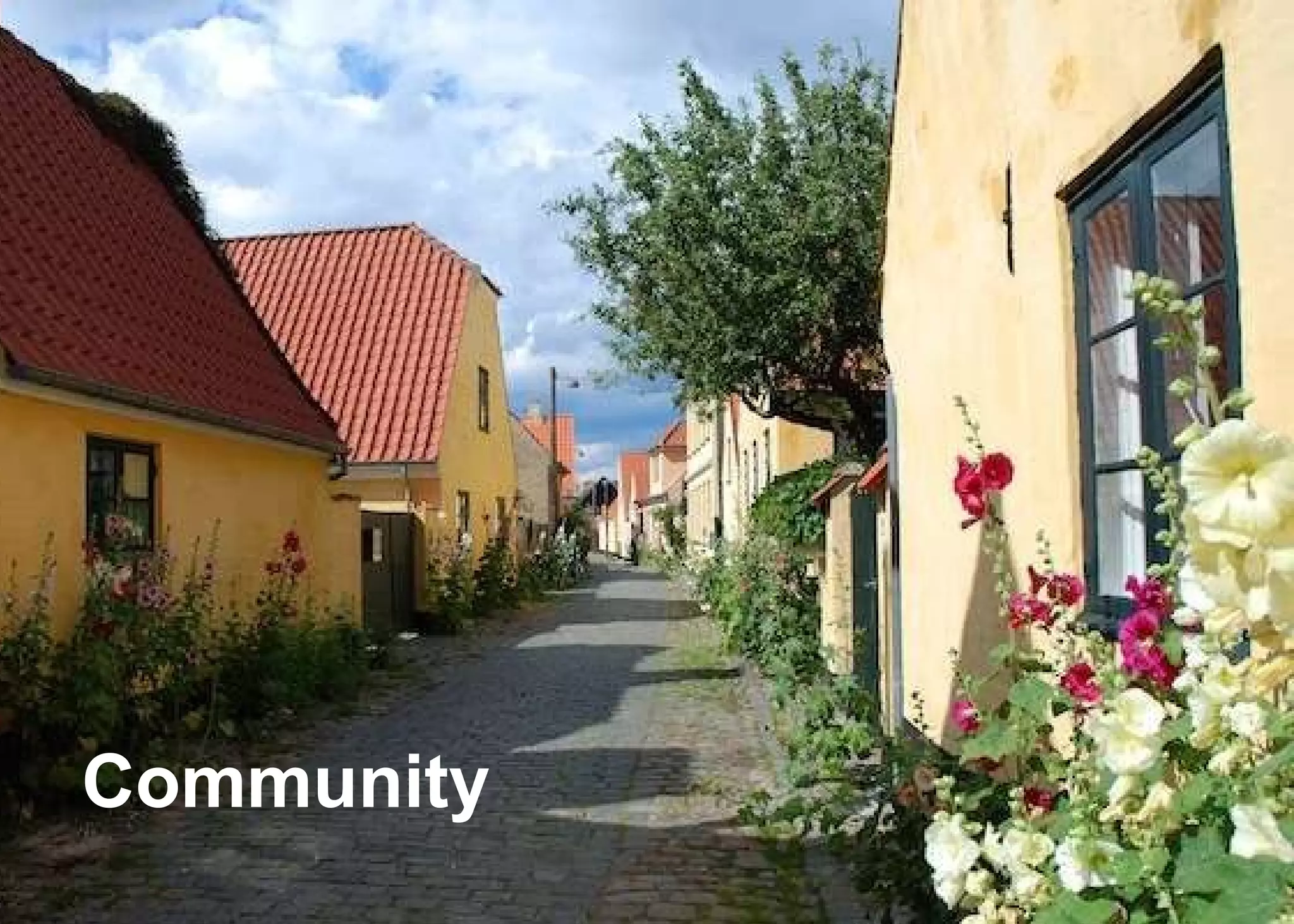 Community 