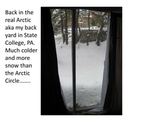 Back in the
real Arctic
aka my back
yard in State
College, PA.
Much colder
and more
snow than
the Arctic
Circle.......
 