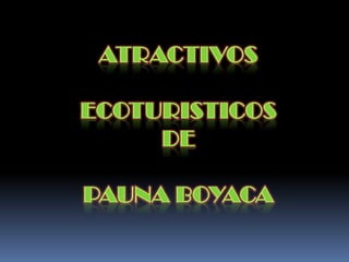 ATRACTIVOS  ECOTURISTICOS  DE  PAUNA BOYACA 