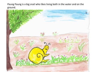 Paung	
  Paung	
  is	
  a	
  big	
  snail	
  who	
  likes	
  living	
  both	
  in	
  the	
  water	
  and	
  on	
  the	
  
ground.	
  
 